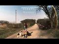 Anna Graves - Minnesota (Official Audio)