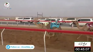 الشوط 13 لاهيه لـ حامد حمد محمد الدرعي 1 46 73 شارة الصندوق 2022 3 31 فطامين الرقيعات 