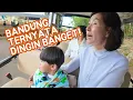 Download Lagu HALMONI KAGET BANDUNG LEBIH DINGIN DARIPADA KOREA!!😂