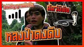 ขี่มอเตอร์ไซต์ไปกางเต้นท์ครั้งแรก เกือบหลงป่า !!