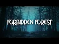 Download Lagu HAUNTED FOREST AMBIENCE | 3 HOURS OF NIGHT FOREST SOUNDS, GHOSTLY WHISPERS, AND NIGHTMARISH CRIES