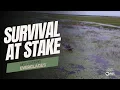 Inside the Florida Everglades Restoration Challenges and Solutions Battleground Everglades