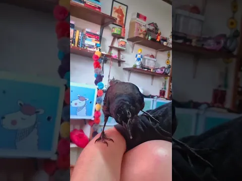 The Gothification of Edgar.