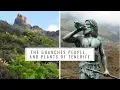 Download Lagu The Guanches People and Native Plants of Tenerife (Canary Islands History, Medicinal plants)