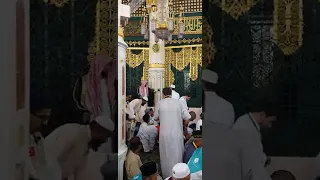 جولة داخل الروضة الشريفة ومحراب رسول الله من داخل المسجد النبوي 