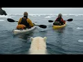 Download Lagu When Obsession Meets the Arctic: 1,500 Miles of Mistakes