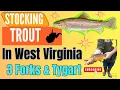 Trout Stocking In West Virginia