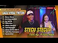 Download Lagu STECU-STECU - Dara Ayu Ft Faris Adam | Kalo Abang Suka, Jang Buang Muka | LAGU TIMUR VIRAL TIKTOK