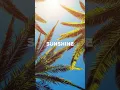 Download Lagu [FREE] Lo fi Type Beat \