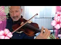 Download Lagu When I Need You - violin cover