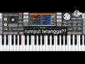 Download Lagu karoke rumput tetangga__zona ganjur Kalimantan remix organ tunggal