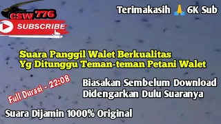 Download SUARA PANGGIL WALET YG DICARI SELAMA INI - BERUNTUNG SEKALI PETANI WALET YG KETEMU VIDEO INI MP3