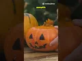 You re Carving Pumpkins Wrong Do THIS Instead