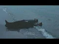 What A Time - Julia Michaels ft. Niall Horan (sped up)