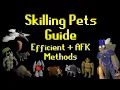 Skilling Pets Guide Efficient Afk Methods OSRS