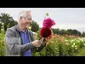 J Schwanke s Life in Bloom