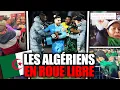 Lagu Algeria is turning the AFCON into a mess! Players and fans are running amok (even in France)...