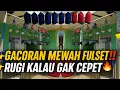 Download Lagu RUGI KALAU GAK CEPET‼️ BURUNG GACORAN MEWAH DIJUAL PAKETAN FULLSET 🔥 SERIUS GAK RUGI?