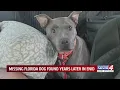 Missing Florida dog found years later in Enid
