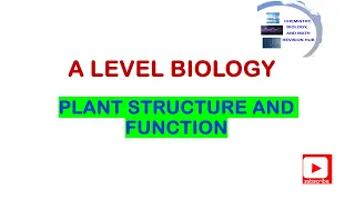 A level Biology Topic 4A Plant structure and Function Pearson Edexcel
