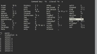 gnu screen basic demo
