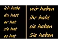 Download Lagu ♫ Haben Conjugation Song ♫ German Conjugation ♫ Mozart ♫ Das Lied der Konjugation von Haben ♫