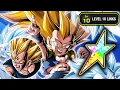 LR SSJ3 GOTENKS ON LR MAJIN VEGETA SSJ2 GOKU TEAM Dragon Ball Z Dokkan Battle