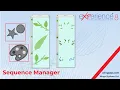 How to Use the Sequence Manager Manage Object Sequence and Color Grouping