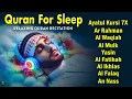 Download Lagu Quran recitation in a peaceful voice I Alfatiha, Yasin ,Arrahman ,AlWaqiah ,Almulk -By Alaa Aqel