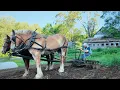 Download Lagu Solitary 70-Year-Old Homesteader | She Farms Like It's 1850