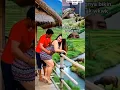 Download Lagu Bigo Live, periscope live, tiktok live, imo video call see, mamah pemersatu bangsa part #560