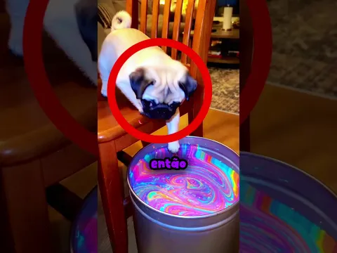 O último cachorro deixou seu dono impressionado!😂