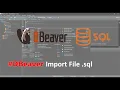 DBeaver Import SQL File