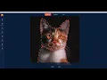 PhotoVibrance - Animate Your Cat
