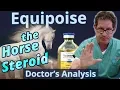 Equipoise the Horse Steroid - Doctor s Analysis of Side Effects Properties