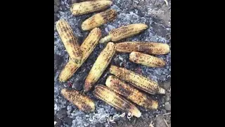 ويا بوى ع الليل وآخرة لما ان تصحى جروحى دندنها
