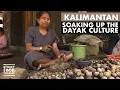 Kalimantan | Soaking Up The Dayak Culture