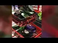 3 People Suspected Of Trying To Steal 1 000 Worth Of Alcohol From Vacaville Target