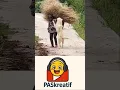 Download Lagu smart dog #feed #feedshorts #shortsvideo #shortvideo #shorts #short #shortsfeed