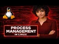 Process Management in Linux ps top htop kill nice renice