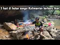 Lagu 3 hari berpetualang di sungai terpencil Kalimantan berburu ikan 