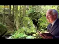 Why don't DAUGHTERS-IN-LAW get along with MOTHERS-IN-LAW? CARL JUNG reveals the feminine unconscious