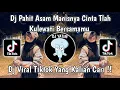Download Lagu DJ PAHIT ASAM MANISNYA CINTA TLAH KULEWATI BERSAMAMU | DJ KU TAK BISA BY MOCHIL FVNKY VIRAL TIKTOK