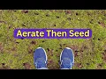 Do You Have To Aerate To Put Grass Seed Down