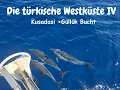Download Lagu Die türkische Westküste IV