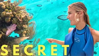 diving into MY paradise [ep 127]