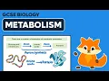 Metabolism - GCSE Biology