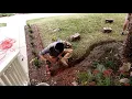 Angled Brick Edging In Front Yard Time Lapse
