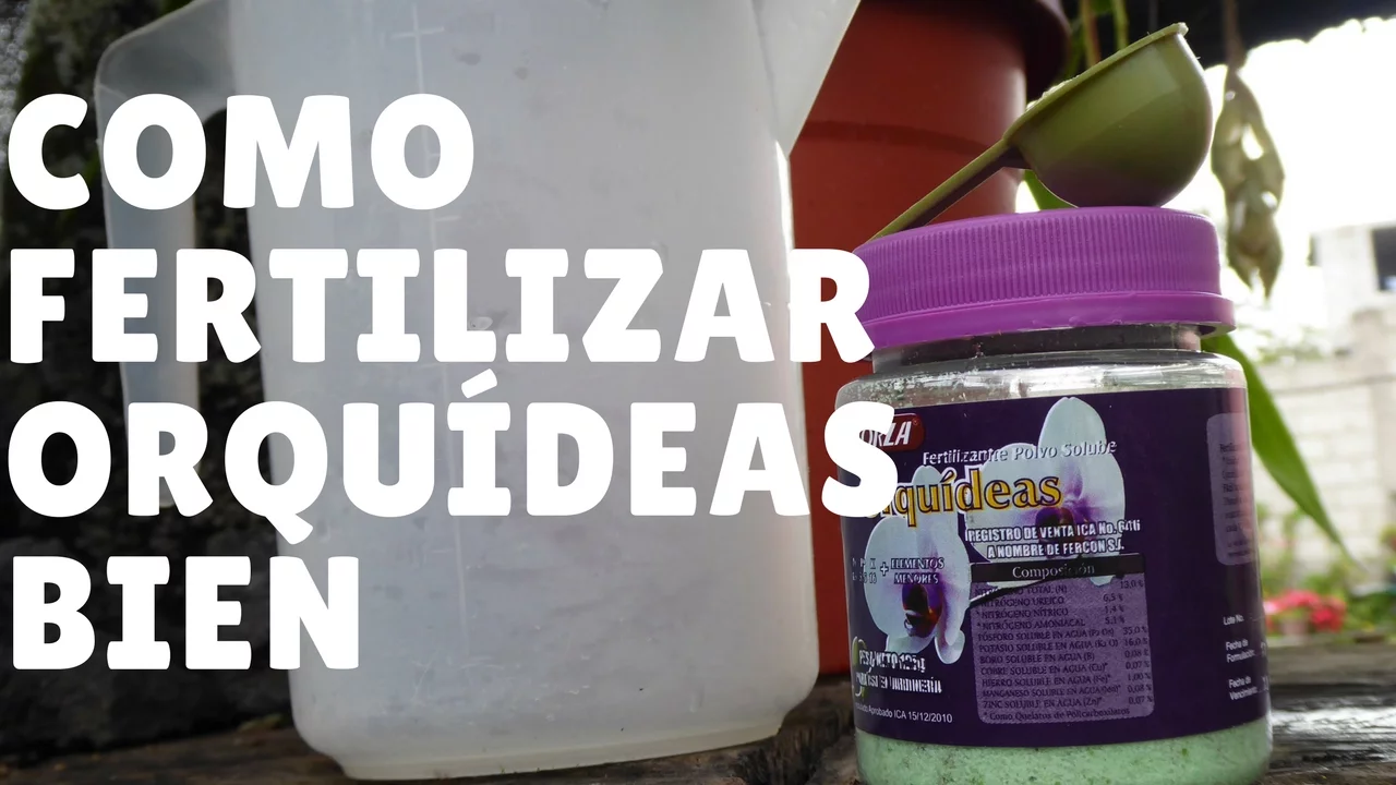 COMO FERTILIZAR O ABONAR CORRECTAMENTE A LAS ORQUÍDEAS? ORQUIPLANET