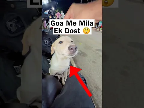 Goa में Bana नया Dost 😲